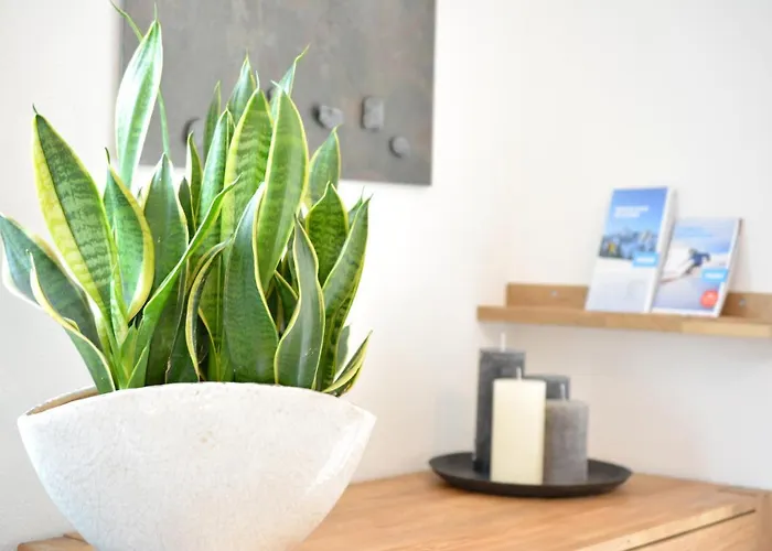 Berg' & Bluamen Stubai *